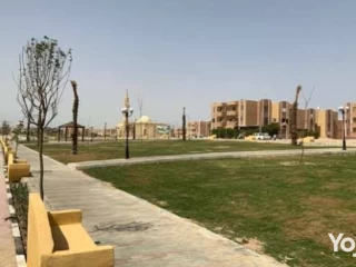 متاح شقة دور تانى بحري عند محلات أبو يوسف ب حي الزهراء للب