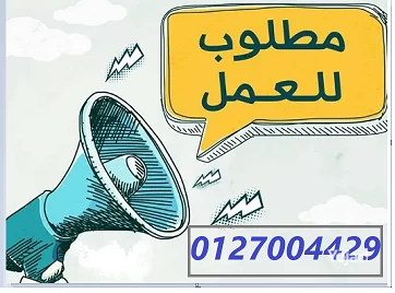 mtlob-shbab-mn-algnsyn-mohlat-aalya-01270044296-big-0