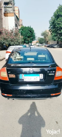 aarby-skoda-fantazya-2010-llbyaa-big-3