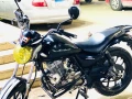 hognk150cc-big-1