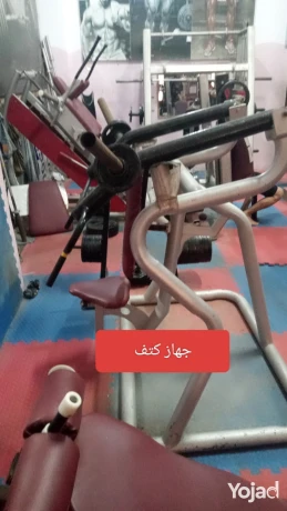 gym-kaml-llbyaa-big-3