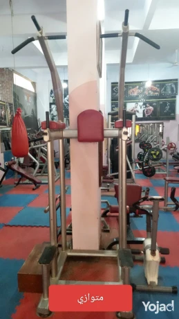 gym-kaml-llbyaa-big-9