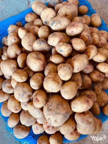 btats-thmyr-kmyat-big-0