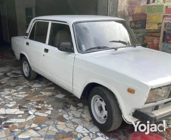 lada-modyl-95-rosy-fbrykh-doakhl-big-0