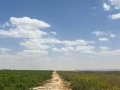 wadi-natron-land-ard-llbyaa-fy-oady-alntron-big-1