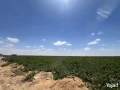 wadi-natron-land-ard-llbyaa-fy-oady-alntron-big-2