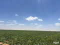 wadi-natron-land-ard-llbyaa-fy-oady-alntron-big-4