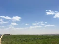 wadi-natron-land-ard-llbyaa-fy-oady-alntron-big-0