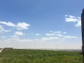 wadi-natron-land-ard-llbyaa-fy-oady-alntron-big-3