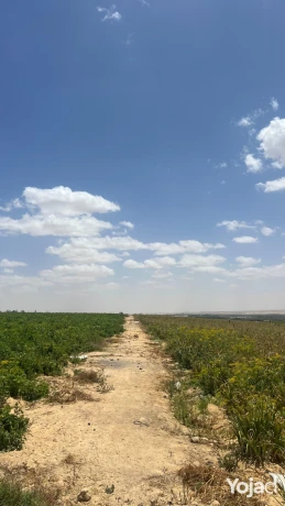 wadi-natron-land-ard-llbyaa-fy-oady-alntron-big-1