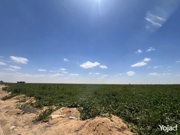 wadi-natron-land-ard-llbyaa-fy-oady-alntron-big-2