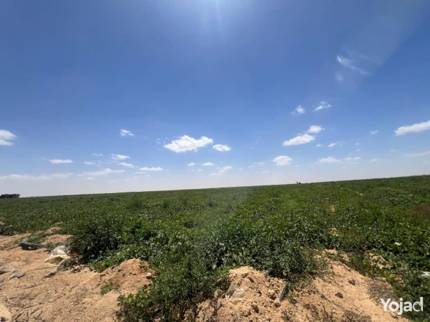 wadi-natron-land-ard-llbyaa-fy-oady-alntron-big-5
