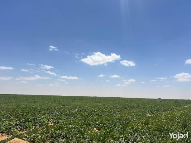 wadi-natron-land-ard-llbyaa-fy-oady-alntron-big-4