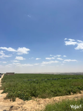 wadi-natron-land-ard-llbyaa-fy-oady-alntron-big-0