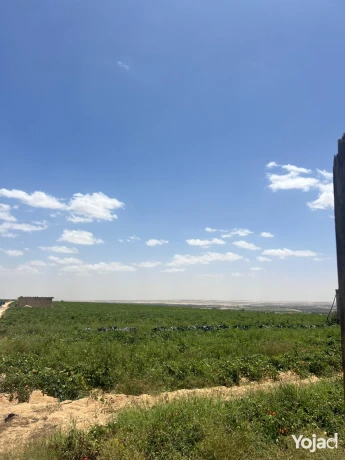 wadi-natron-land-ard-llbyaa-fy-oady-alntron-big-3