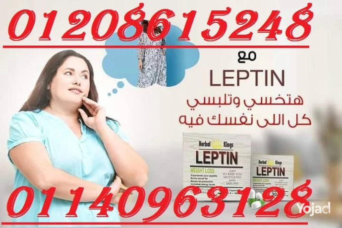 kbsolat-lybtyn-lltkhsys-leptin-0114096312801208615248-big-0