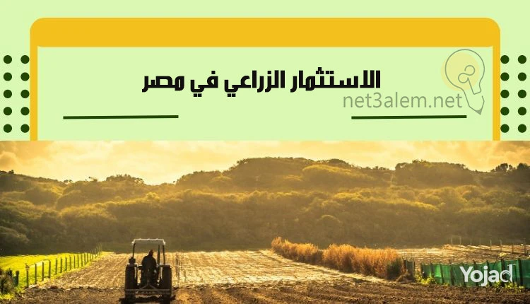 aard-msh-hytkrr-15fdan-kaml-alkhdmat-oalmrafk-llbyaa-big-0