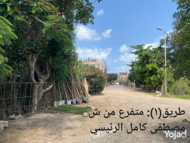 llbyaa-ard-fdaaa-msah-6075-mtr-mrbaa-bhy-almntz-aazb-almnshy-big-4