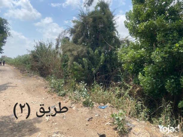 llbyaa-ard-fdaaa-msah-6075-mtr-mrbaa-bhy-almntz-aazb-almnshy-big-0