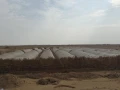 ard-15-fdan-llbyaa-big-1