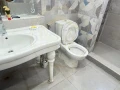 shk-llbyaa-260m-alazaryt-khtoat-lsharaa-shamblyon-big-11