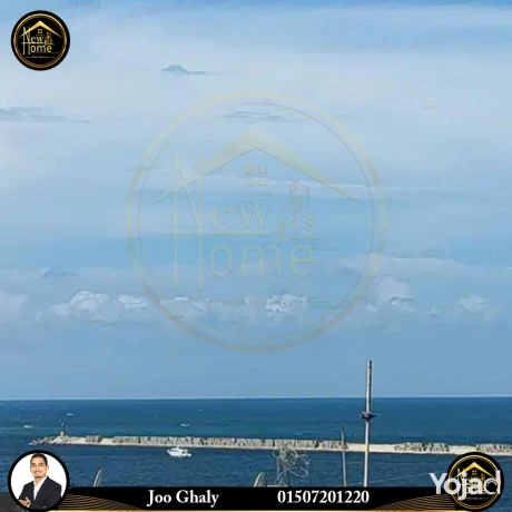 shk-llbyaa-260m-alazaryt-khtoat-lsharaa-shamblyon-big-0
