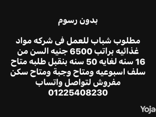 فرصه عمل فى شركه مواد غذائيه براتب 6500 جنيه