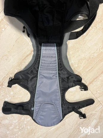 baby-carrier-big-1