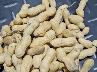 سودانى اربنش