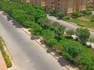 مدينه المستقبل future city