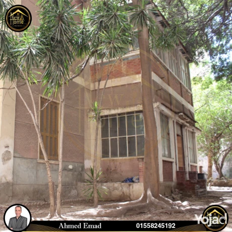 fyla-doblks-llbyaa-1400-m-alozar-khtoat-mn-altram-big-0