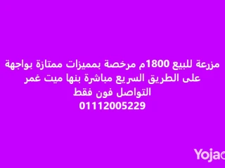 مزرعة على مساحة 1800م واجهة على السريع مباشرة للبيع