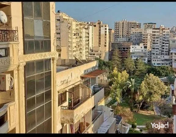 shk-llbyaa-bsaba-basha-fyo-rayaa-llbhr-big-4