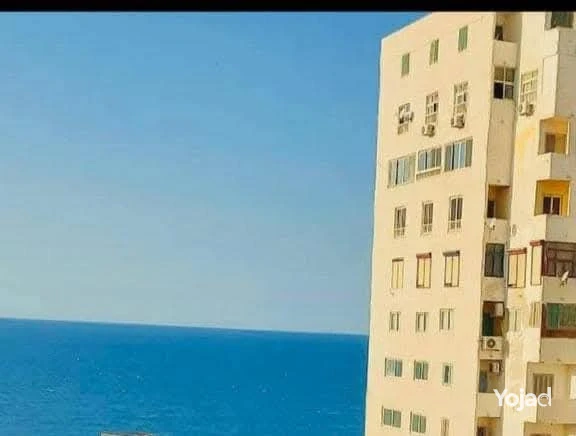 shk-llbyaa-bsaba-basha-fyo-rayaa-llbhr-big-6