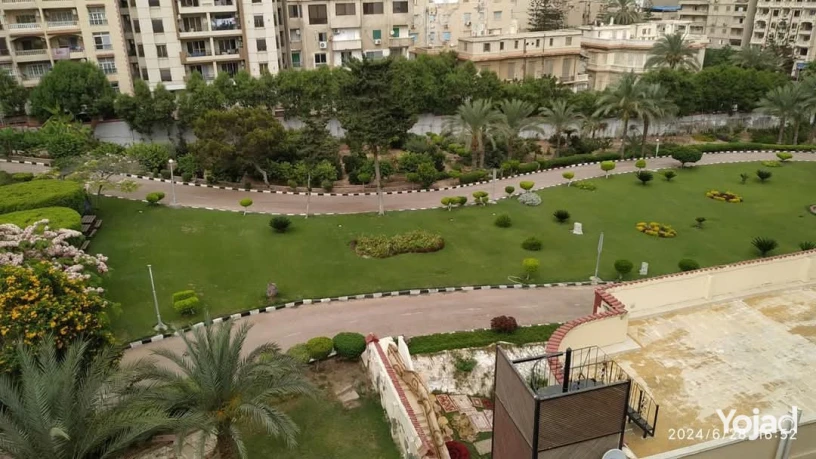 shk-llbyaa-bsaba-basha-fyo-rayaa-lksr-almrghny-big-0