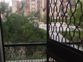 شقه بالعاشر من رمضان