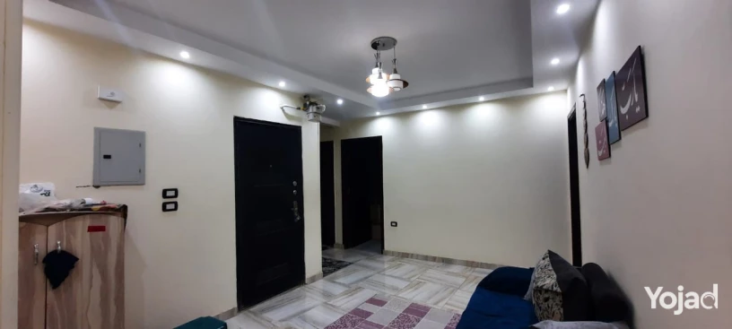 shk-llbyaa-allbyny-hrm-155-mtr-tshtyb-altra-sobr-loks-big-11