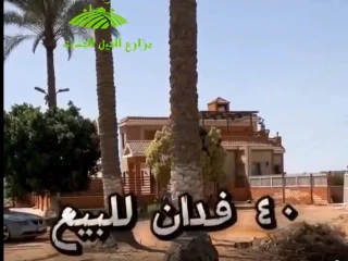 ارض زراعية للبيع