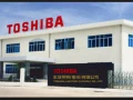 rkm-syan-toshyba-bny-soyf-01080001531-toshiba-beni-suef-big-5