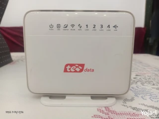 Te Data Router