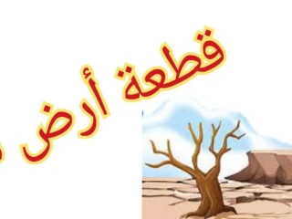 أرض للبيع بموقع استراتيجى ومتميز