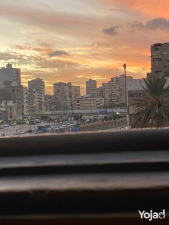 omnia-mohamed-big-0