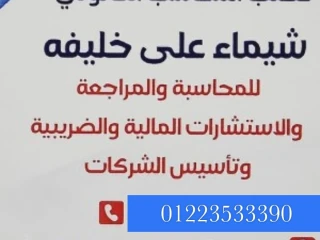 محاسب قانونى وتأسيس شركات