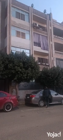shkh-llbyaa-170-m-thmyl-kdym-alhy-alaol-big-0