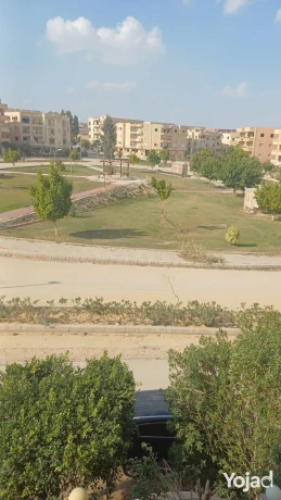 llbyaa-shkh-145m-alhy-althalth-big-3