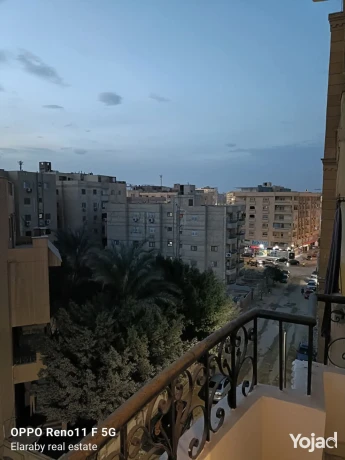 llbyaa-shkh-190mtr-thany-aamar-mn-alsharaa-alryysy-big-0
