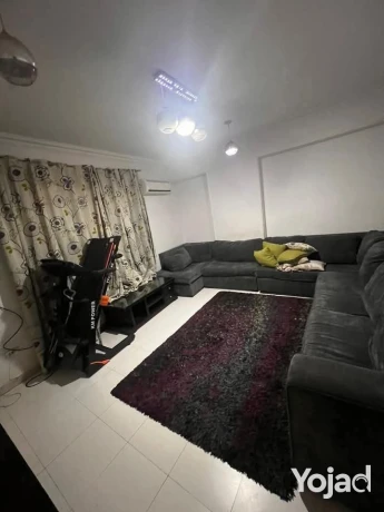 shk-llbyaa-fy-almtbaa-byn-fysl-o-alhrm-big-1