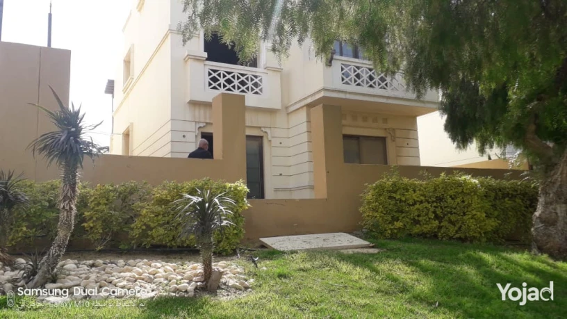 fyla-llbyaa-altgmaa-alkhams-mokaa-mtmyz-big-0