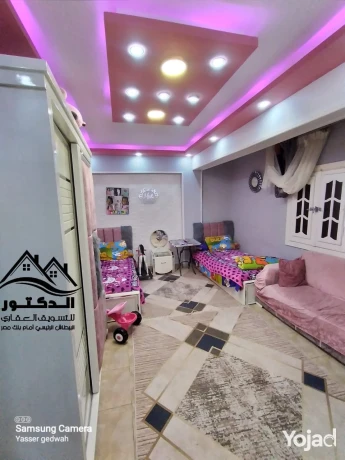 skh-llbyaa-fy-albytash-aal-alryysy-big-10