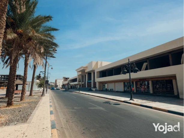 shkh-fyo-bhr-fy-alghrdkh-albhr-alahmr-msahtha-60-mtr-big-6